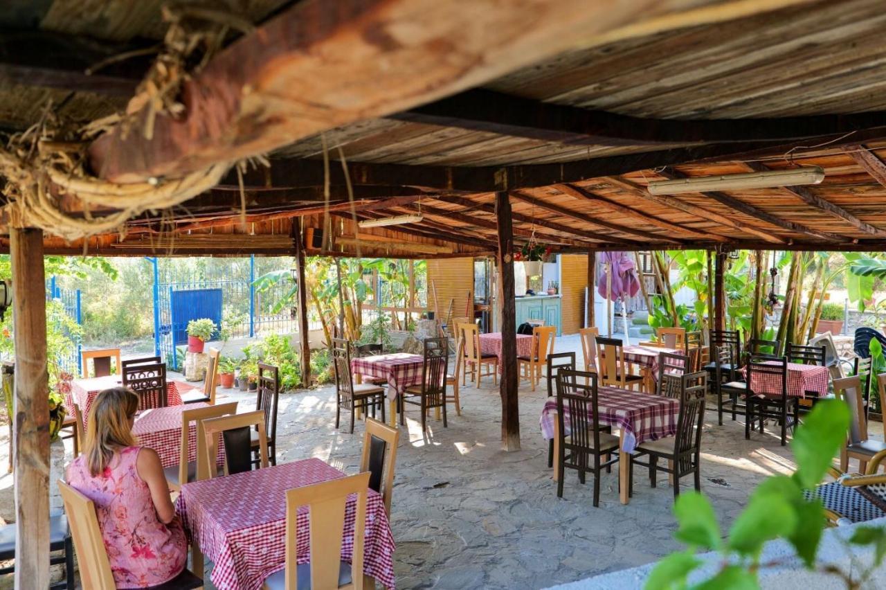 Tropikal Freskia Bunec Sarande Luaran gambar