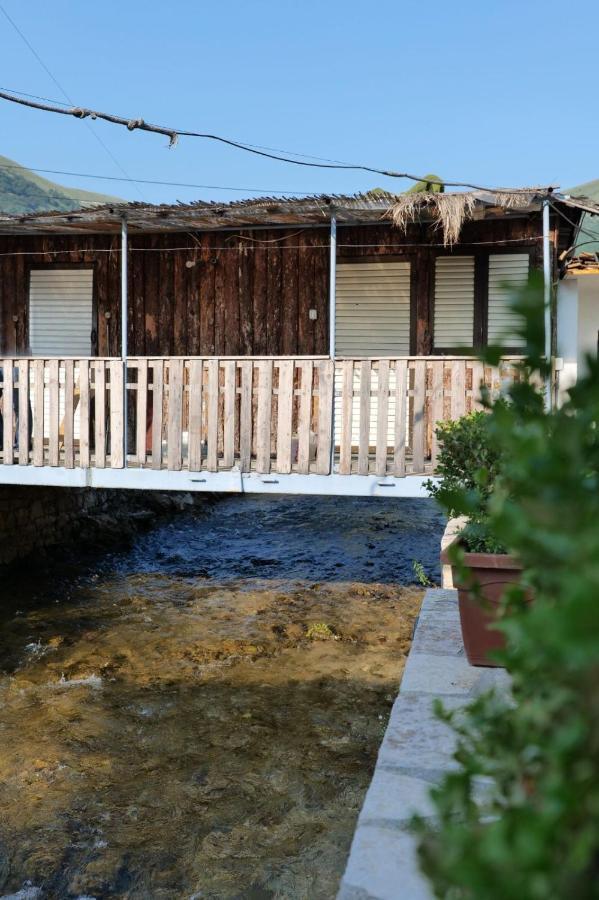 Tropikal Freskia Bunec Sarande Luaran gambar